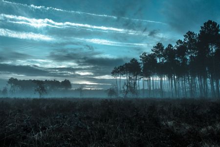 landscape1.jpg