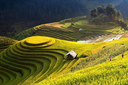 landscape8.jpg