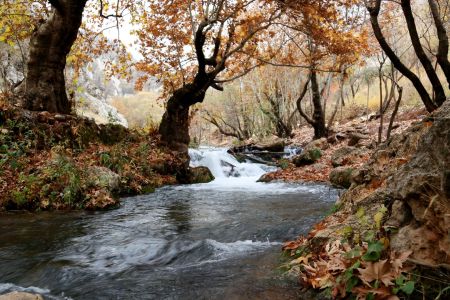 landscape9.jpg