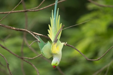 wildlife1.jpg
